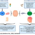 LC-PUFA IN PREGNANCY